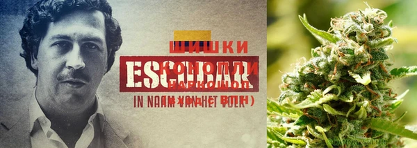 мяу мяу кристалл Майский