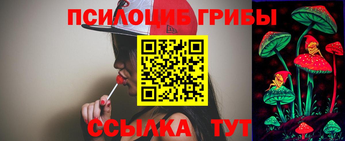 Псилоцибиновые грибы Cubensis  где купить   Усинск 